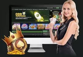 ohtogel